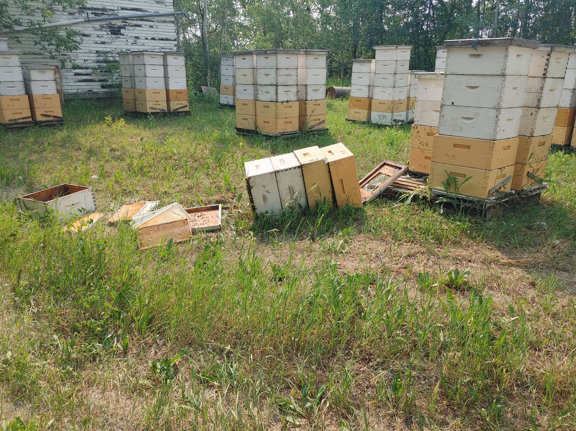 2021 Season photo 55